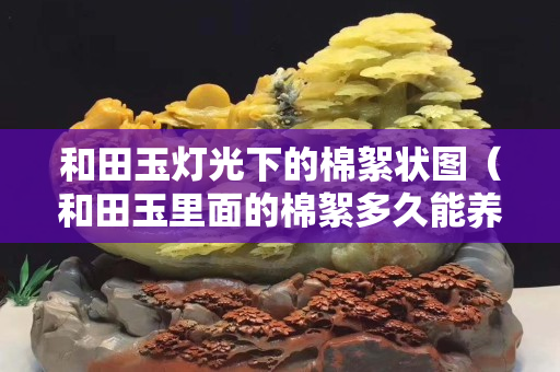和田玉灯光下的棉絮状图（和田玉里面的棉絮多久能养活）