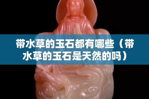 带水草的玉石都有哪些（带水草的玉石是天然的吗）