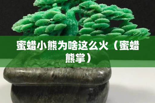 蜜蜡小熊为啥这么火（蜜蜡熊掌）