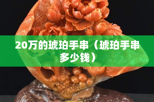 20万的琥珀手串（琥珀手串多少钱）