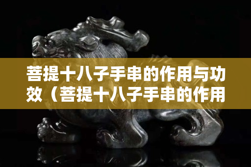 菩提十八子手串的作用与功效（菩提十八子手串的作用与功效禁忌）
