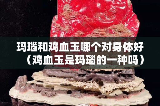 玛瑙和鸡血玉哪个对身体好（鸡血玉是玛瑙的一种吗）