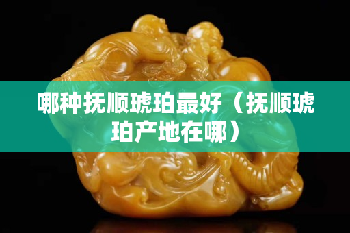 哪种抚顺琥珀最好（抚顺琥珀产地在哪）