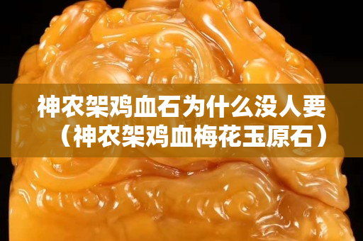 神农架鸡血石为什么没人要（神农架鸡血梅花玉原石）
