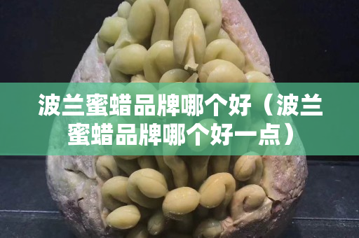 波兰蜜蜡品牌哪个好（波兰蜜蜡品牌哪个好一点）