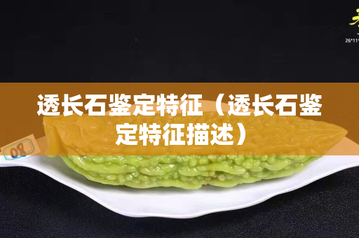 透长石鉴定特征（透长石鉴定特征描述）