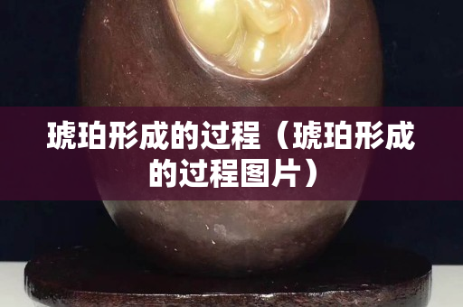 琥珀形成的过程（琥珀形成的过程图片）