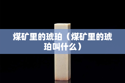煤矿里的琥珀（煤矿里的琥珀叫什么）