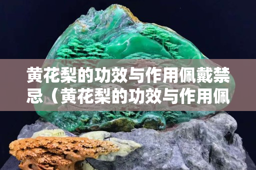 黄花梨的功效与作用佩戴禁忌（黄花梨的功效与作用佩戴禁忌是什么）