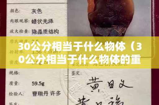 30公分相当于什么物体（30公分相当于什么物体的重量）