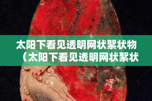 太阳下看见透明网状絮状物（太阳下看见透明网状絮状物怎么回事）