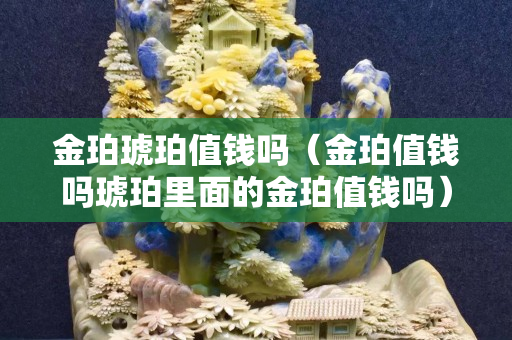 金珀琥珀值钱吗（金珀值钱吗琥珀里面的金珀值钱吗）