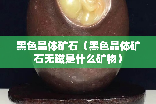 黑色晶体矿石（黑色晶体矿石无磁是什么矿物）