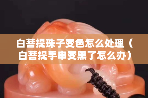 白菩提珠子变色怎么处理（白菩提手串变黑了怎么办）