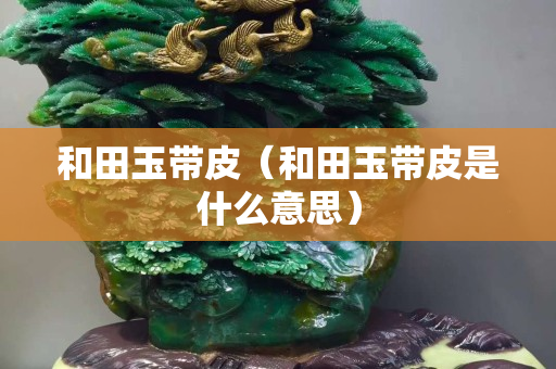 和田玉带皮（和田玉带皮是什么意思）
