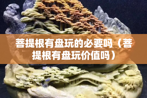 菩提根有盘玩的必要吗（菩提根有盘玩价值吗）