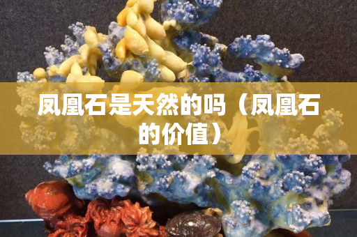 凤凰石是天然的吗（凤凰石的价值）
