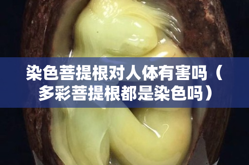 染色菩提根对人体有害吗（多彩菩提根都是染色吗）