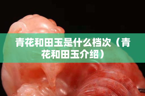 青花和田玉是什么档次（青花和田玉介绍）