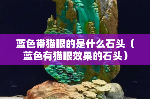 蓝色带猫眼的是什么石头（蓝色有猫眼效果的石头）