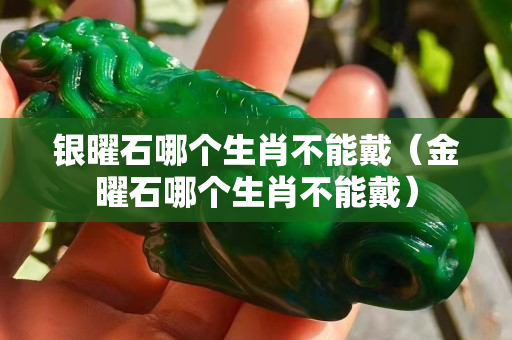 银曜石哪个生肖不能戴（金曜石哪个生肖不能戴）