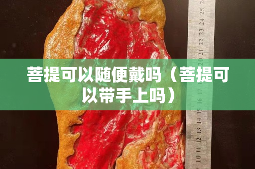 菩提可以随便戴吗（菩提可以带手上吗）