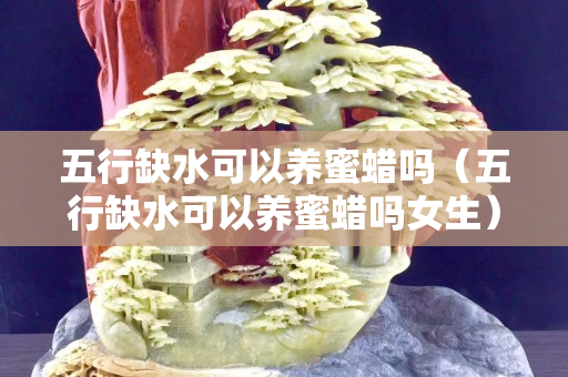 五行缺水可以养蜜蜡吗（五行缺水可以养蜜蜡吗女生）