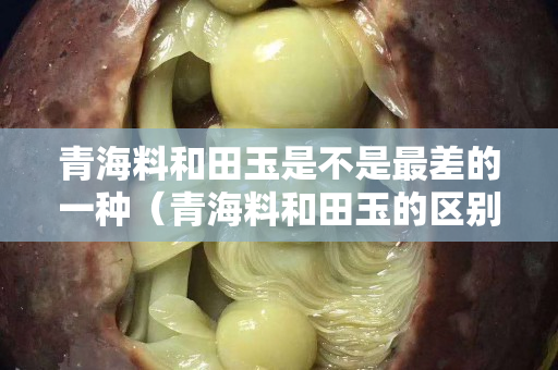 青海料和田玉是不是最差的一种（青海料和田玉的区别有哪些？）