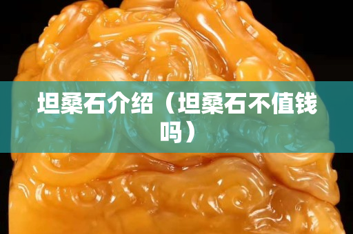 坦桑石介绍（坦桑石不值钱吗）