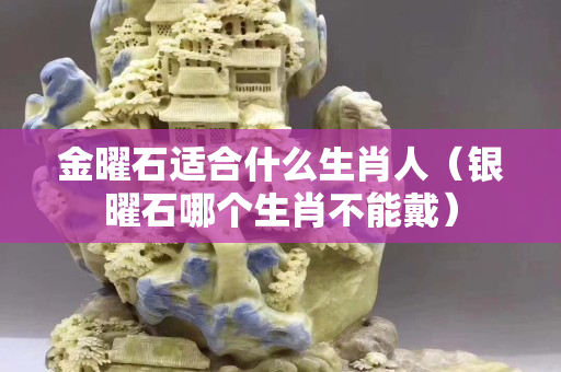 金曜石适合什么生肖人（银曜石哪个生肖不能戴）
