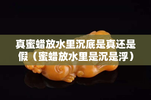 真蜜蜡放水里沉底是真还是假（蜜蜡放水里是沉是浮）