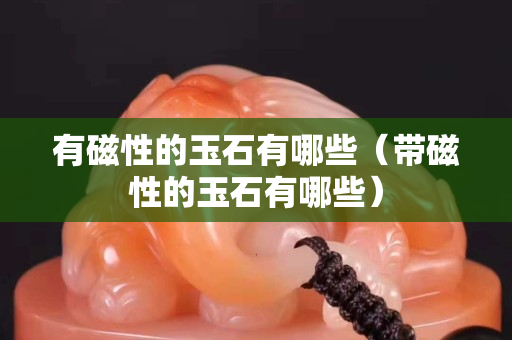 有磁性的玉石有哪些（带磁性的玉石有哪些）