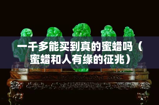 一千多能买到真的蜜蜡吗（蜜蜡和人有缘的征兆）