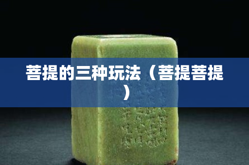 菩提的三种玩法（菩提菩提）