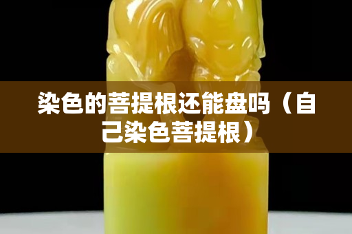 染色的菩提根还能盘吗（自己染色菩提根）