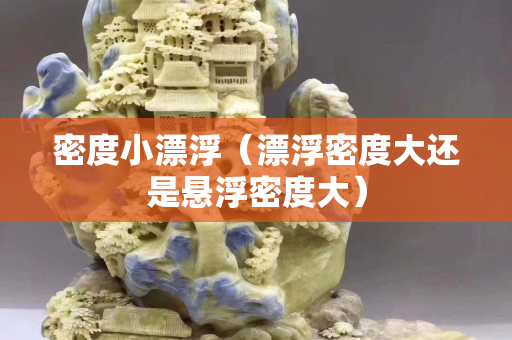 密度小漂浮（漂浮密度大还是悬浮密度大）