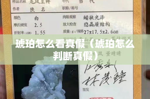 琥珀怎么看真假（琥珀怎么判断真假）