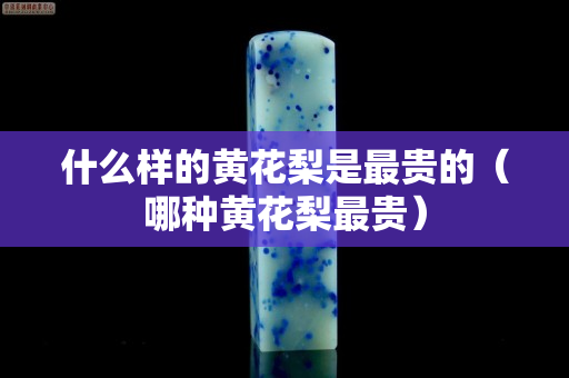 什么样的黄花梨是最贵的（哪种黄花梨最贵）