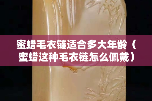 蜜蜡毛衣链适合多大年龄（蜜蜡这种毛衣链怎么佩戴）