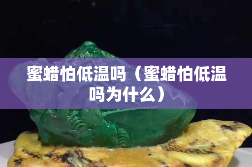 蜜蜡怕低温吗（蜜蜡怕低温吗为什么）