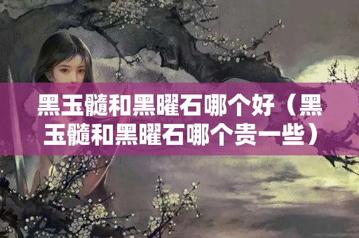 黑玉髓和黑曜石哪个好（黑玉髓和黑曜石哪个贵一些）