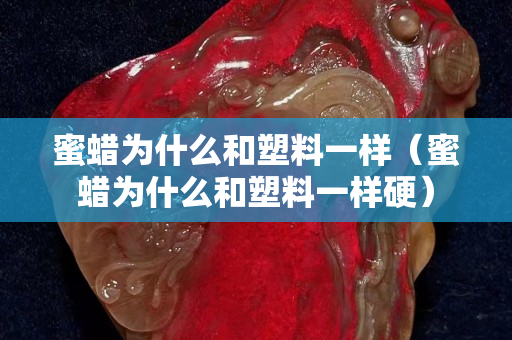 蜜蜡为什么和塑料一样（蜜蜡为什么和塑料一样硬）