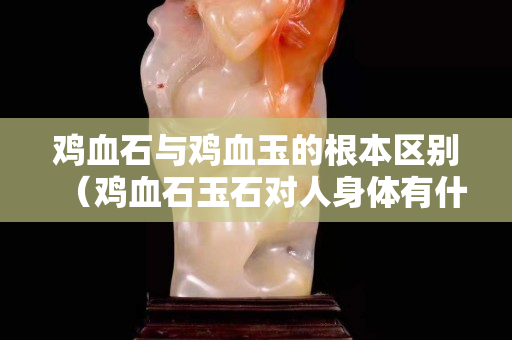鸡血石与鸡血玉的根本区别（鸡血石玉石对人身体有什么好处？）