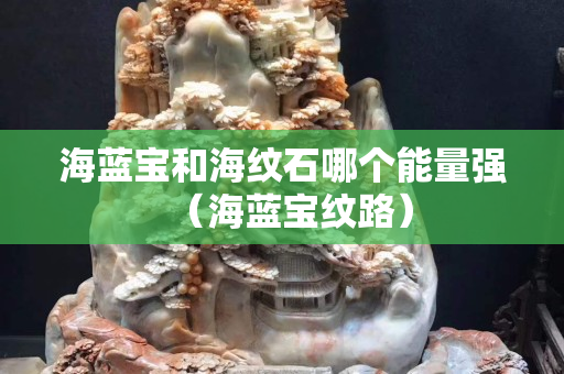 海蓝宝和海纹石哪个能量强（海蓝宝纹路）