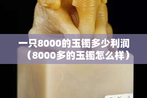 一只8000的玉镯多少利润（8000多的玉镯怎么样）