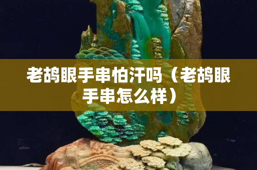 老鸪眼手串怕汗吗（老鸪眼手串怎么样）