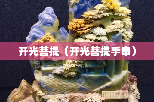 开光菩提（开光菩提手串）