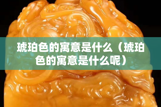 琥珀色的寓意是什么（琥珀色的寓意是什么呢）