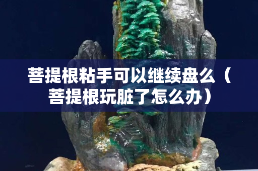 菩提根粘手可以继续盘么（菩提根玩脏了怎么办）