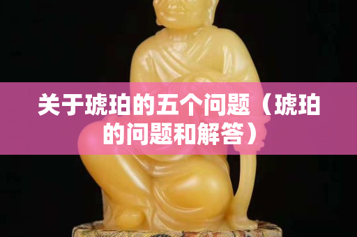关于琥珀的五个问题（琥珀的问题和解答）